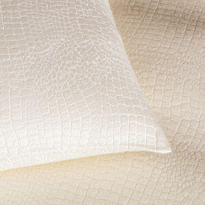 slide 3 Luxury Cocco Decorative Cushion