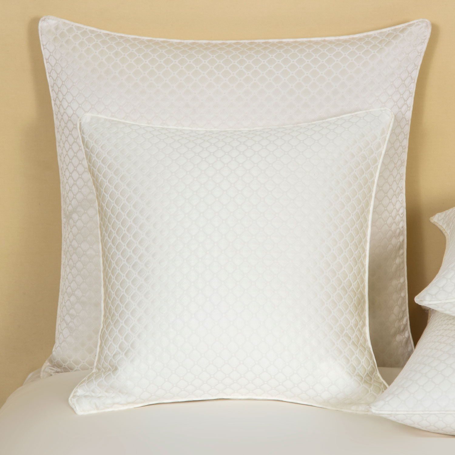 slide 1 Illusione Decorative Pillow