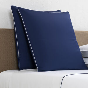 slide 2 Greenwich Euro Sham