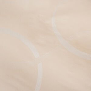 slide 3 Ribbons Federa quadrata