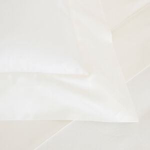 slide 3 Domes Sham