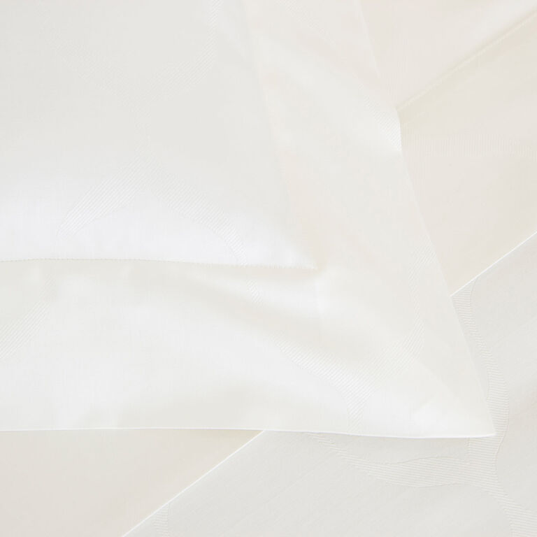 slide 3 Domes Sham