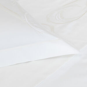 slide 3 Paisley Embroidery Euro Sham