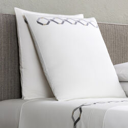 Continuity Embroidered Euro Pillowcase