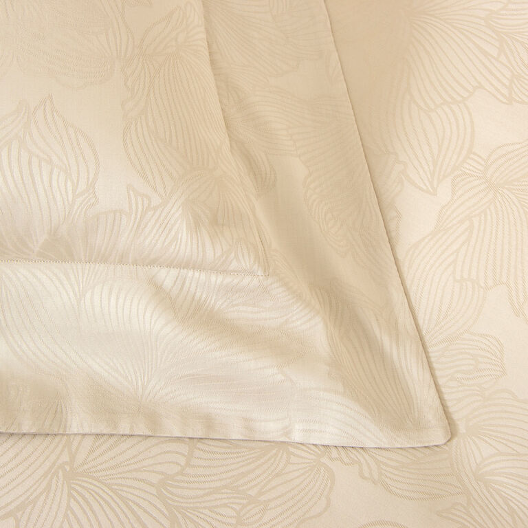 slide 3 Lilium Euro Sham