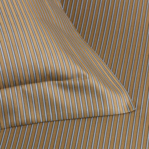 slide 3 Horizon Federa Quadrata