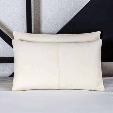 slide 2 Seraphic Leather Decorative Pillow Boudoir