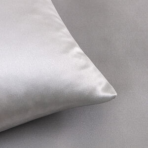 slide 3 Luxury Silk Dekokissen